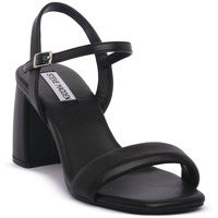 Čevlji  Ženske Sandali & Odprti čevlji Steve Madden LAYNAY BLK Črna