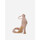 Čevlji  Ženske Sandali & Odprti čevlji La Modeuse 75491_P178605 Pozlačena