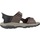 Čevlji  Moški Sandali & Odprti čevlji Skechers SLIP-INS TRESMEN-REECE Kostanjeva