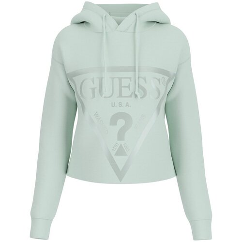 Oblačila Ženske Puloverji Guess V2YQ08 K7UW2 Zelena