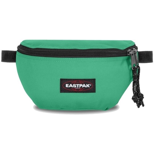 Torbice Moški Torbice za okrog pasu Eastpak SPRINGER Zelena