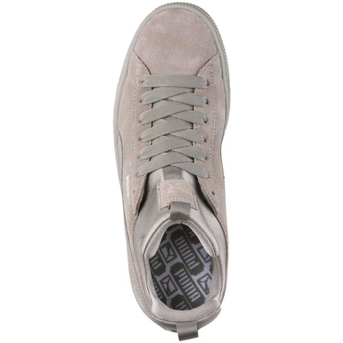 Puma  Siva