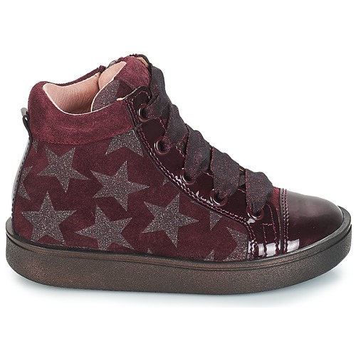 Acebo's MASSA Bordo