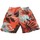 Oblačila Moški Kratke hlače & Bermuda Zagano Spodenki kąpielowe  2216-208 Rdeča