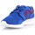 Čevlji  Moški Nizke superge Nike Mens  Kaishi Print 705450-446 Modra