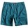Oblačila Moški Kratke hlače & Bermuda Quiksilver AQYWS00119-BRQ0 Modra